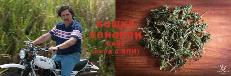 Каннабис White Widow  Аргун 